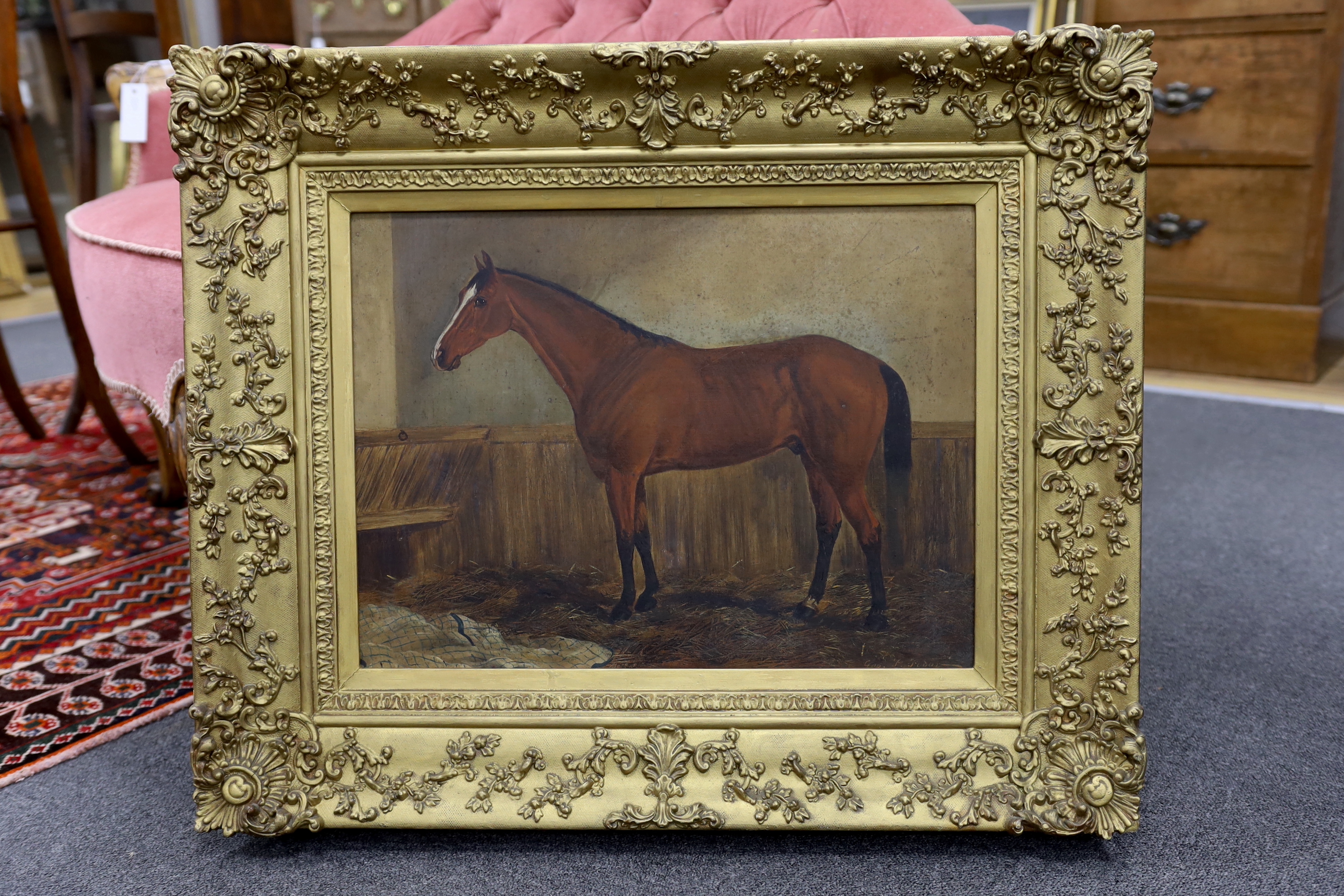 George Ferdinand Fodor (New Zealand, 1859-1930), oil on canvas, Study of a horse, 49 x 36cm